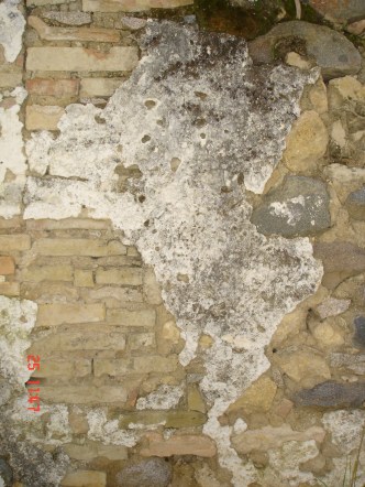 El genio de la lámpara