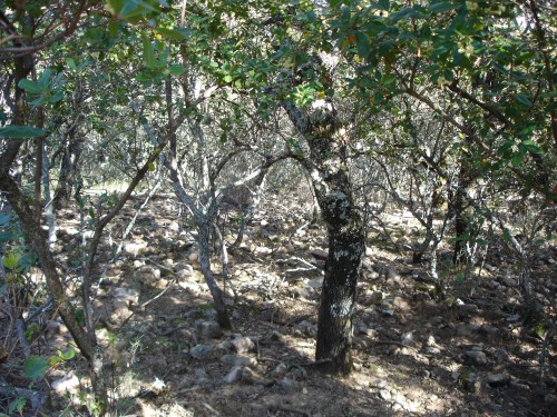 3 de noviembre de 2014 097