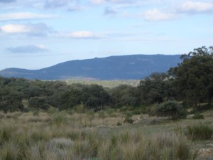 3 de noviembre de 2014 147