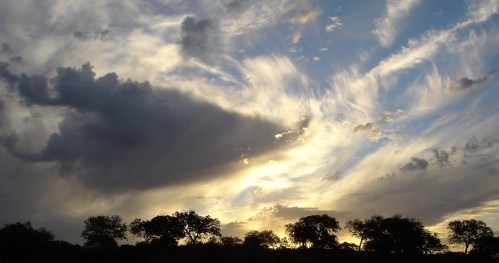 26-de-octubre-de-2014-001-2